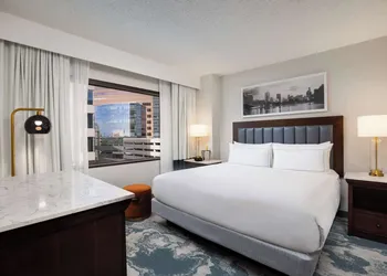 DoubleTree by Hilton Houston Medical Center Hotel & Suites hotel thumbnail 8