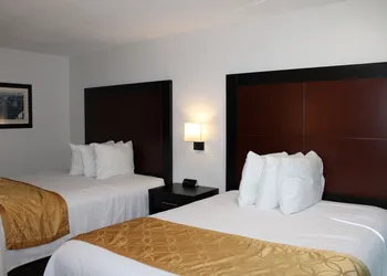 Pine Tree Inn hotel thumbnail 5