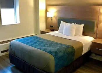 EconoLodge Downtown Toronto hotel thumbnail 5