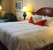 Hilton Garden Inn Columbus Airport hotel detail image 7