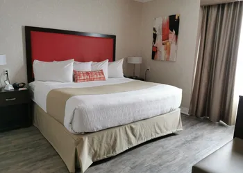 Best Western Plus Rose City Suites hotel thumbnail 5