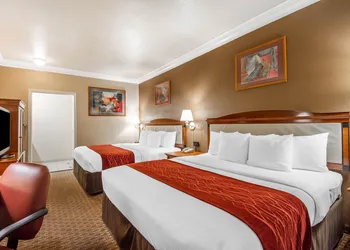 Comfort Inn and Suites San Francisco Airport North hotel thumbnail 6