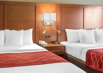 Comfort Inn and Suites San Francisco Airport North hotel thumbnail 7