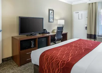 Comfort Inn and Suites San Francisco Airport North hotel thumbnail 8