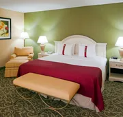 Holiday Inn Chantilly - Dulles Arpt Area by IHG hotel detail image 5