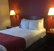 Comfort Inn & Suites University hotel detail image 5