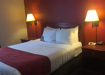 Comfort Inn & Suites University hotel thumbnail 5