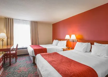 Comfort Inn & Suites University hotel thumbnail 6