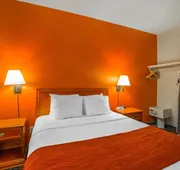Comfort Inn & Suites University hotel detail image 7