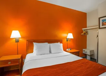 Comfort Inn & Suites University hotel thumbnail 7