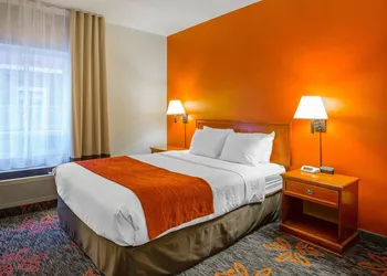 Comfort Inn & Suites University hotel thumbnail 8