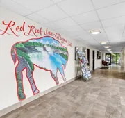 Red Roof Inn Niagara Falls hotel detail image 3