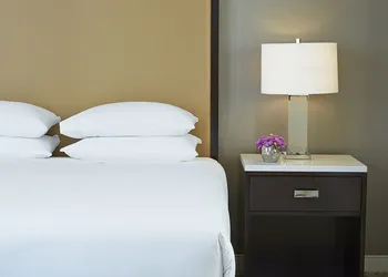 Hyatt Regency Atlanta Perimeter at Villa Christina hotel thumbnail 7