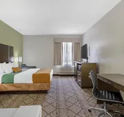 Best Western Plus North Houston Inn & Suites hotel detail image 4
