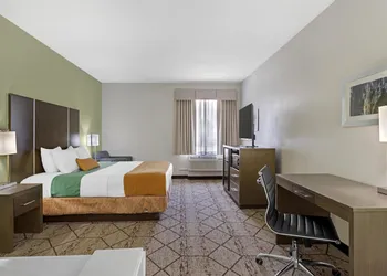 Best Western Plus North Houston Inn & Suites hotel thumbnail 4