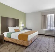 Best Western Plus North Houston Inn & Suites hotel detail image 7