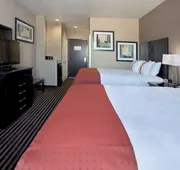 Holiday Inn San Antonio N - Stone Oak Area by IHG hotel detail image 4
