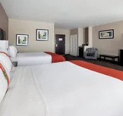 Holiday Inn San Antonio N - Stone Oak Area by IHG hotel detail image 5