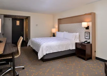Holiday Inn Hotel & Suites Overland Park - Convention Center by IHG hotel thumbnail 7