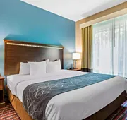 Comfort Suites Fairview Heights - St. Louis hotel detail image 3