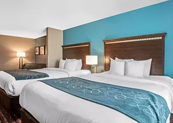 Comfort Suites Fairview Heights - St. Louis hotel thumbnail 6