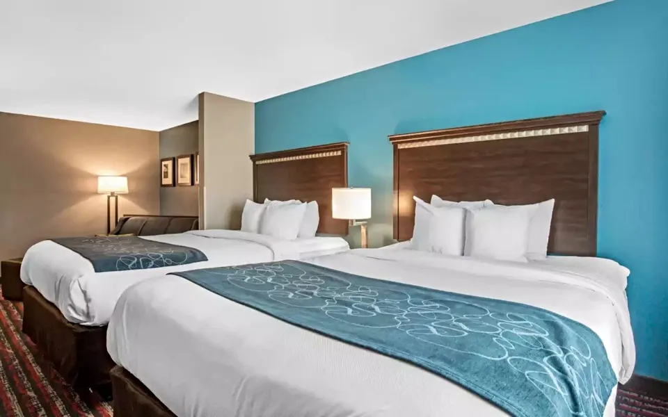 Comfort Suites Fairview Heights - St. Louis hotel detail image 6