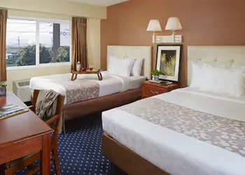 Hotel Focus SFO hotel thumbnail 8