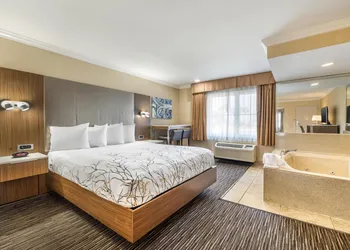Best Western Airpark Hotel - LAX Airport LA Stadium hotel thumbnail 6
