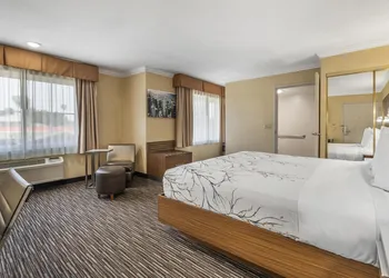 Best Western Airpark Hotel - LAX Airport LA Stadium hotel thumbnail 8