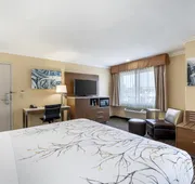 Best Western Airpark Hotel - LAX Airport LA Stadium hotel detail image 7