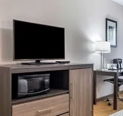 Best Western Palo Duro Canyon Inn & Suites hotel detail image 7