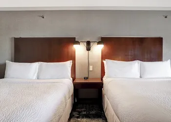 Four Points by Sheraton Toronto Mississauga hotel thumbnail 8