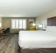 Best Western Houston Bush IAH Intercontinental Airport Inn hotel detail image 4