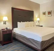 Quality Inn & Suites Houston Northwest - Cypress hotel detail image 3