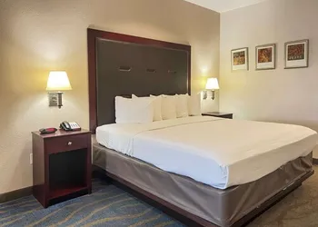 Quality Inn & Suites Houston Northwest - Cypress hotel thumbnail 3
