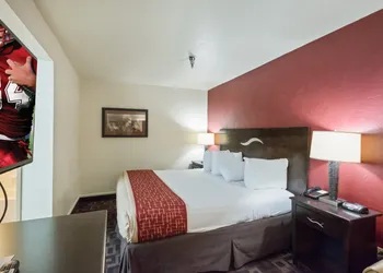 Red Roof Inn Oklahoma Airport – I-40 W/Fairgrounds hotel thumbnail 4