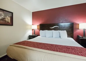 Red Roof Inn Oklahoma Airport – I-40 W/Fairgrounds hotel thumbnail 8