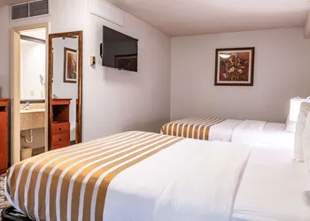 Best Western Vista Inn At The Airport hotel thumbnail 8