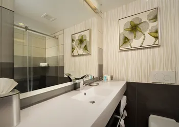 Skybridge Seattle Airport Hotel hotel thumbnail 8