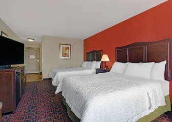 Hampton Inn Deming hotel thumbnail 8