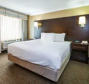 Comfort Inn & Conference Centre Toronto Airport hotel detail image 7