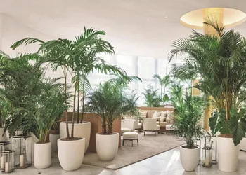 The Miami Beach EDITION hotel thumbnail 4