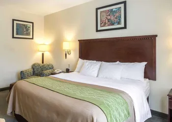 Quality Inn Donaldsonville - Gonzales hotel thumbnail 4