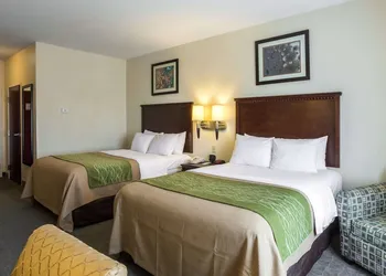 Quality Inn Donaldsonville - Gonzales hotel thumbnail 8