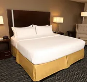 Holiday Inn Express & Suites Omaha South - Ralston Arena by IHG hotel detail image 3