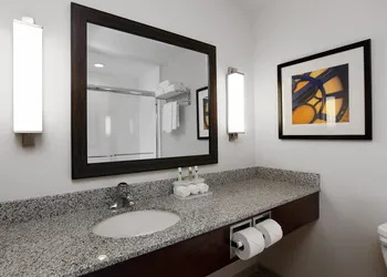 Holiday Inn Express & Suites Omaha South - Ralston Arena by IHG hotel thumbnail 5