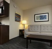 Holiday Inn Express & Suites Omaha South - Ralston Arena by IHG hotel detail image 7