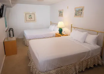 Mountain Lodge at Okemo, A Vail Resorts Property hotel thumbnail 8