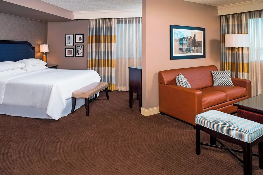 Sheraton North Houston at George Bush Intercontinental hotel detail image 6