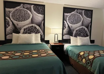 Super 8 by Wyndham Selma/Fresno Area hotel thumbnail 5